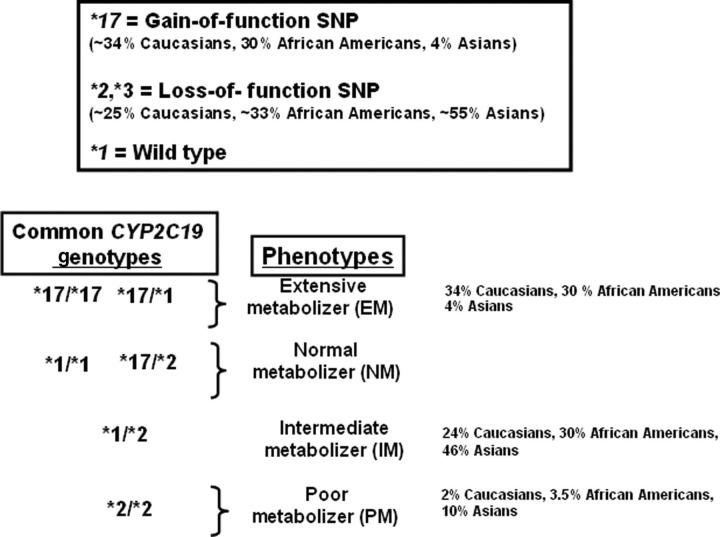 https://cdn.ncbi.nlm.nih.gov/pmc/blobs/f0a6/3738365/7aac1b4b3a2b/10.1258_cvd.2012.012015-fig1.jpg