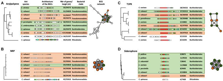https://cdn.ncbi.nlm.nih.gov/pmc/blobs/f0a6/8277422/27500bb37ef0/fmicb-12-678100-g003.jpg