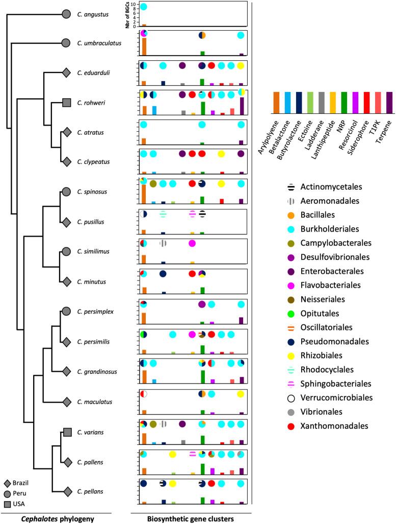 https://cdn.ncbi.nlm.nih.gov/pmc/blobs/f0a6/8277422/2d6846d1a90c/fmicb-12-678100-g001.jpg