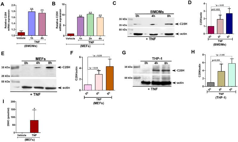 https://cdn.ncbi.nlm.nih.gov/pmc/blobs/f0a6/8457477/a7d88fc1eed1/pone.0257576.g001.jpg