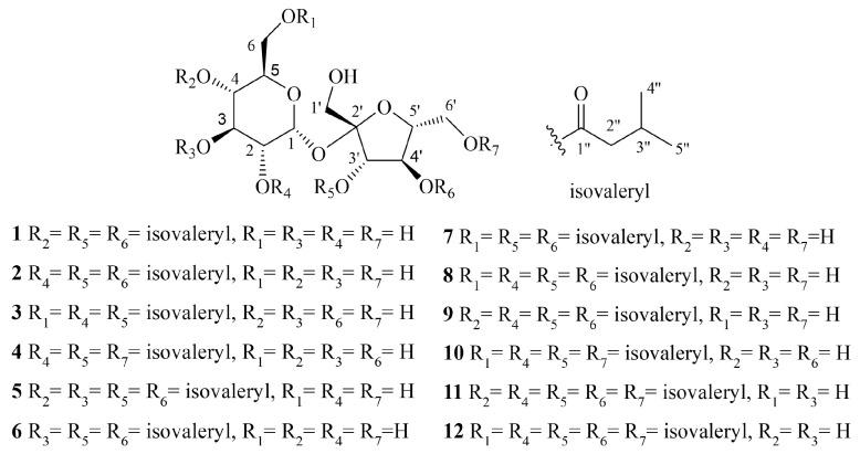 https://cdn.ncbi.nlm.nih.gov/pmc/blobs/f0a7/11243297/2222de90a34b/molecules-29-03069-g001.jpg