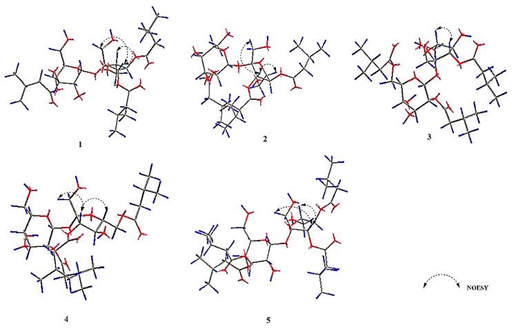 https://cdn.ncbi.nlm.nih.gov/pmc/blobs/f0a7/11243297/61be9c9c80c8/molecules-29-03069-g003.jpg
