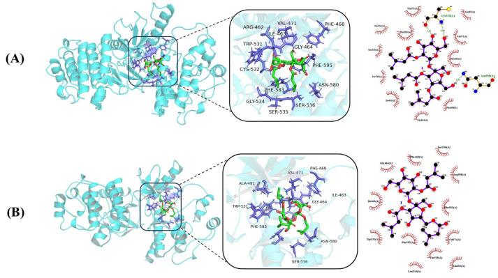 https://cdn.ncbi.nlm.nih.gov/pmc/blobs/f0a7/11243297/a2a366f6a2e8/molecules-29-03069-g005a.jpg