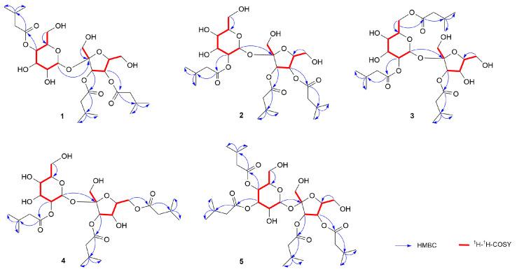 https://cdn.ncbi.nlm.nih.gov/pmc/blobs/f0a7/11243297/e0b6a757ec46/molecules-29-03069-g002.jpg