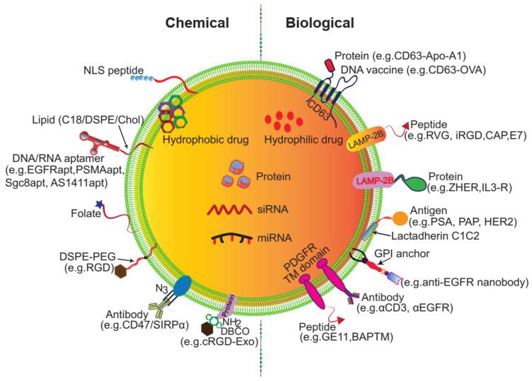 https://cdn.ncbi.nlm.nih.gov/pmc/blobs/f0a7/7847680/40da471f8885/thnov11p3183g003.jpg