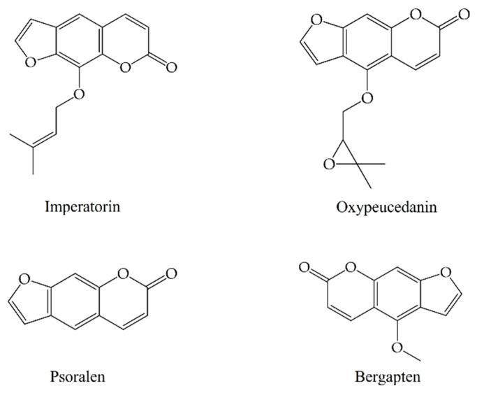 https://cdn.ncbi.nlm.nih.gov/pmc/blobs/f0a9/10343566/0905581f5147/molecules-28-05248-g006.jpg