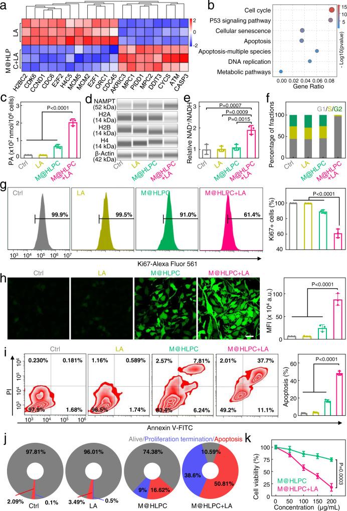 https://cdn.ncbi.nlm.nih.gov/pmc/blobs/f0a9/9304377/0226cb0e8f56/41467_2022_31799_Fig6_HTML.jpg