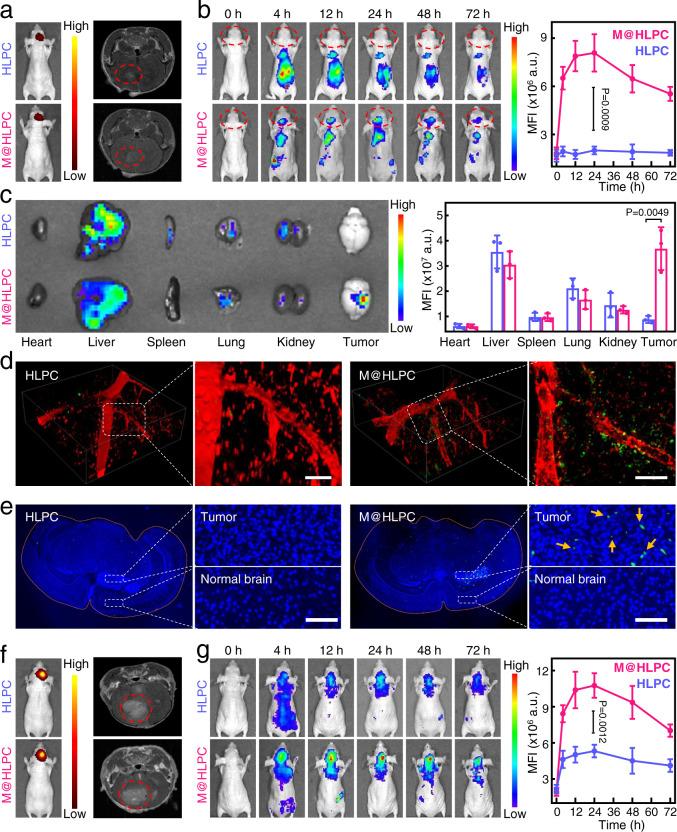 https://cdn.ncbi.nlm.nih.gov/pmc/blobs/f0a9/9304377/856a6c744459/41467_2022_31799_Fig5_HTML.jpg