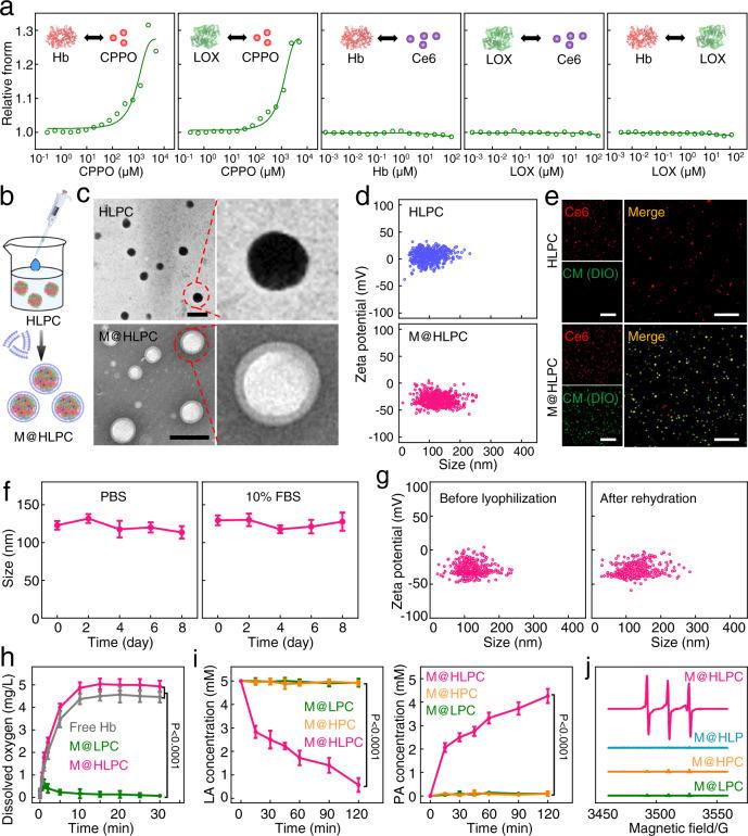 https://cdn.ncbi.nlm.nih.gov/pmc/blobs/f0a9/9304377/d047e4029be7/41467_2022_31799_Fig3_HTML.jpg