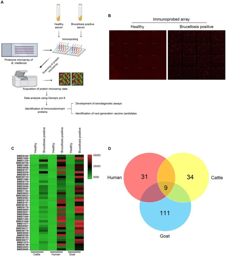 https://cdn.ncbi.nlm.nih.gov/pmc/blobs/f0ab/10582347/8b5036c8c8ca/fmicb-14-1253349-g001.jpg