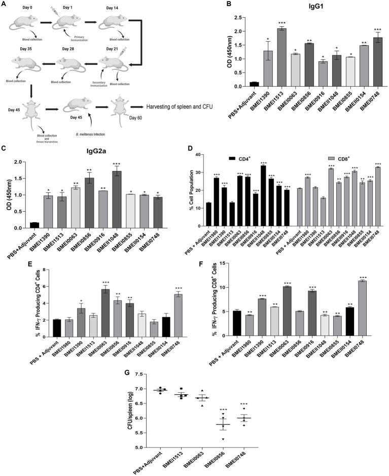 https://cdn.ncbi.nlm.nih.gov/pmc/blobs/f0ab/10582347/dd2cced3476d/fmicb-14-1253349-g003.jpg