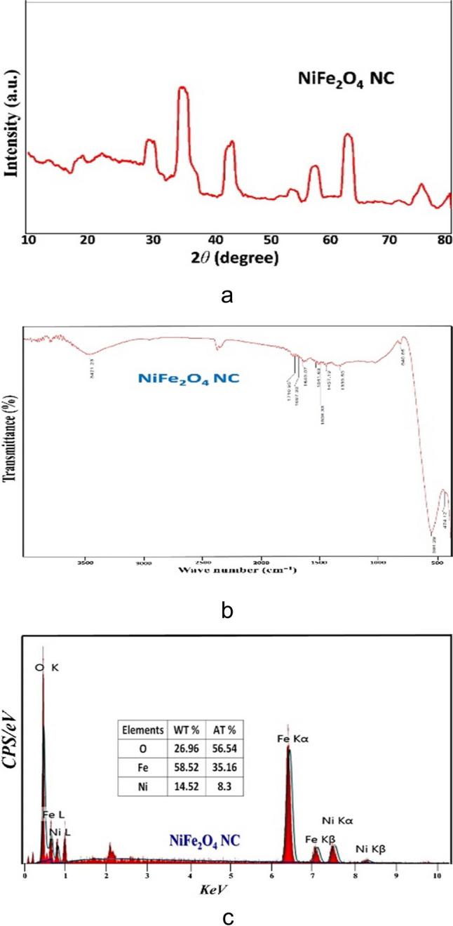 https://cdn.ncbi.nlm.nih.gov/pmc/blobs/f0ab/11978713/b8df49e073c3/210_2024_3512_Fig1_HTML.jpg