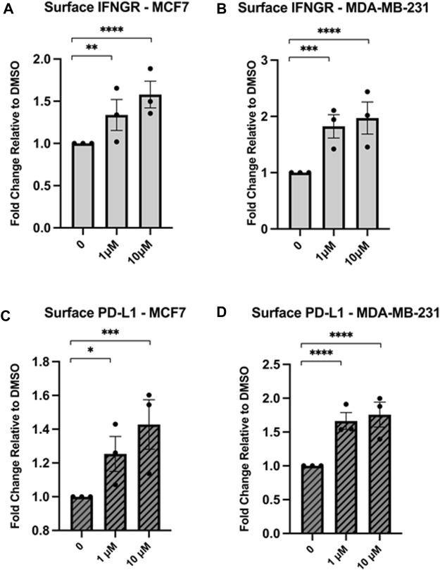 https://cdn.ncbi.nlm.nih.gov/pmc/blobs/f0ac/11027010/0629897baeb2/fmolb-11-1334876-g005.jpg