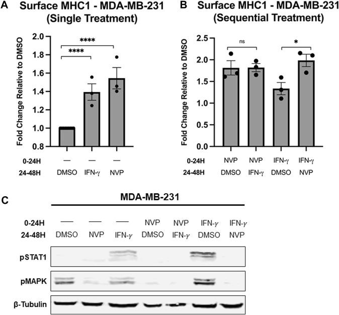 https://cdn.ncbi.nlm.nih.gov/pmc/blobs/f0ac/11027010/32d68b0fb09e/fmolb-11-1334876-g006.jpg
