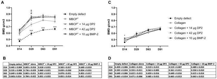 https://cdn.ncbi.nlm.nih.gov/pmc/blobs/f0ac/11859352/be5cdd77ebae/pharmaceuticals-18-00215-g002.jpg