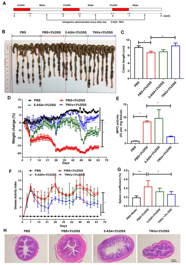 https://cdn.ncbi.nlm.nih.gov/pmc/blobs/f0ad/9330521/5ba1b1e3b525/thnov12p5596g008.jpg