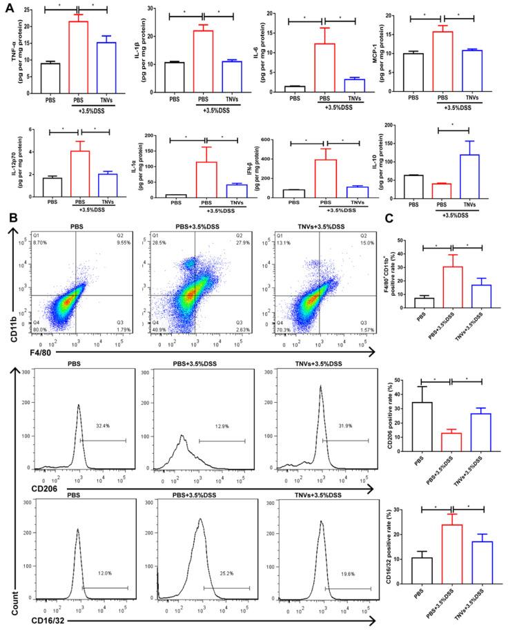 https://cdn.ncbi.nlm.nih.gov/pmc/blobs/f0ad/9330521/8e6df66d0ebf/thnov12p5596g006.jpg
