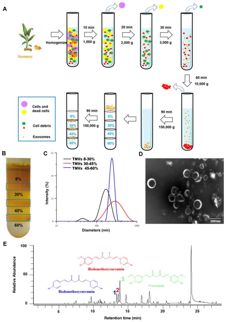 https://cdn.ncbi.nlm.nih.gov/pmc/blobs/f0ad/9330521/c5a89f3e7c7a/thnov12p5596g002.jpg