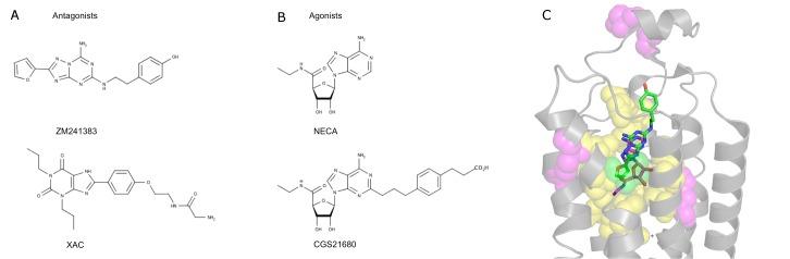 https://cdn.ncbi.nlm.nih.gov/pmc/blobs/f0b0/4186821/912c36aab0b7/pone.0108492.g001.jpg