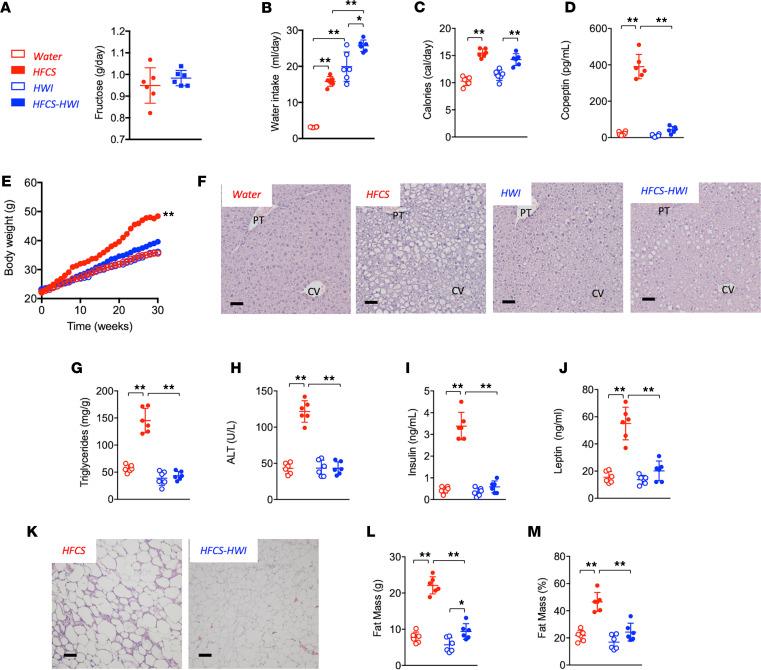 https://cdn.ncbi.nlm.nih.gov/pmc/blobs/f0b2/7821599/bbf2d71895b8/jciinsight-6-140848-g124.jpg