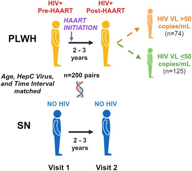 https://cdn.ncbi.nlm.nih.gov/pmc/blobs/f0b5/11157435/ea4fabef297a/fbinf-04-1356509-g001.jpg