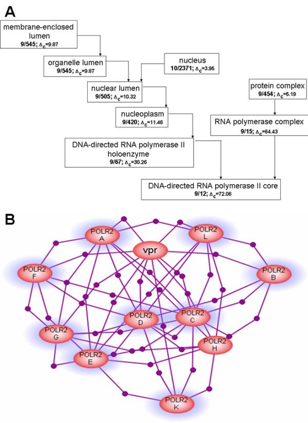 https://cdn.ncbi.nlm.nih.gov/pmc/blobs/f0b8/1940026/451dab07600f/1471-2105-8-243-5.jpg