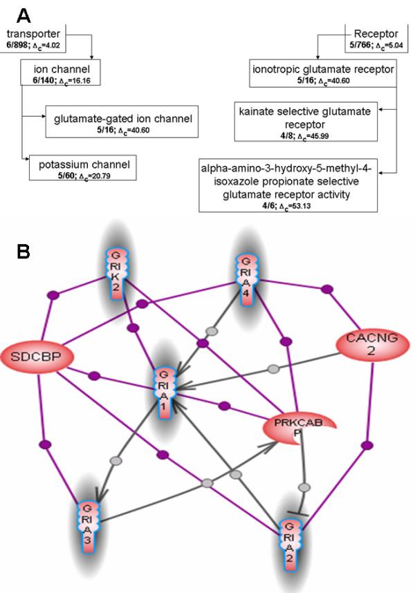 https://cdn.ncbi.nlm.nih.gov/pmc/blobs/f0b8/1940026/54a387444bf3/1471-2105-8-243-6.jpg