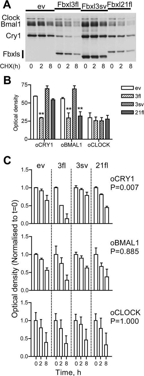 https://cdn.ncbi.nlm.nih.gov/pmc/blobs/f0b8/2568807/532f26623068/pone.0003530.g003.jpg
