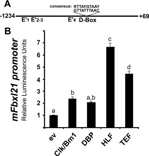 https://cdn.ncbi.nlm.nih.gov/pmc/blobs/f0b8/2568807/71ff6cf65e92/pone.0003530.g006.jpg