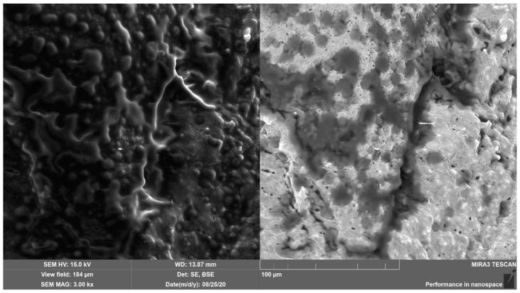 https://cdn.ncbi.nlm.nih.gov/pmc/blobs/f0bb/10675167/833b46ac1b74/pharmaceutics-15-02559-g005.jpg