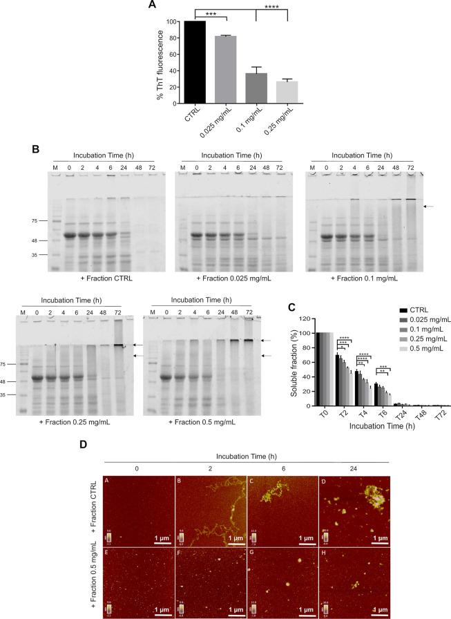 https://cdn.ncbi.nlm.nih.gov/pmc/blobs/f0bb/10797631/19b8a5a372e1/cn3c00560_0004.jpg