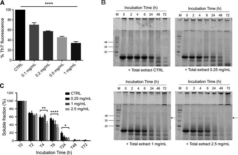 https://cdn.ncbi.nlm.nih.gov/pmc/blobs/f0bb/10797631/a5618055b49a/cn3c00560_0002.jpg