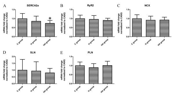 https://cdn.ncbi.nlm.nih.gov/pmc/blobs/f0bb/3464735/e5233a82bf83/1479-5876-10-67-2.jpg