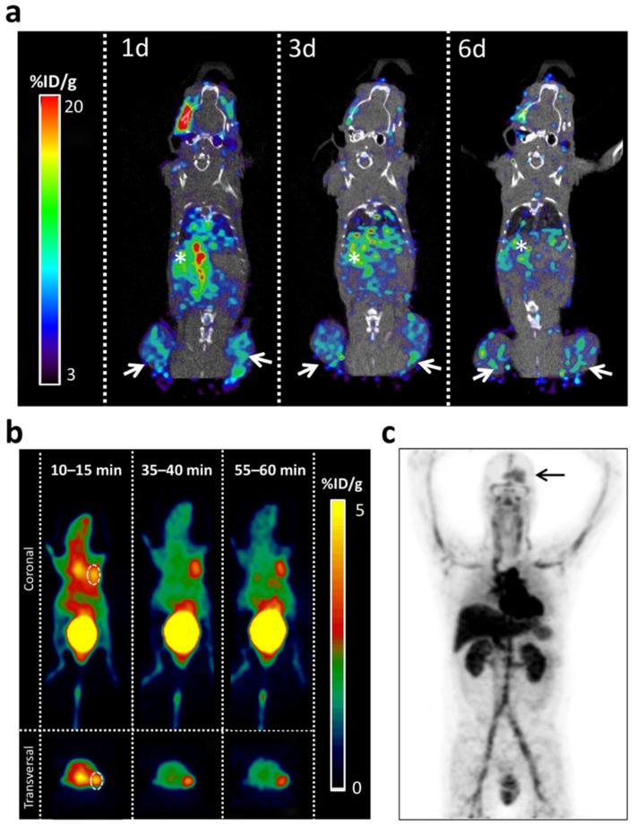 https://cdn.ncbi.nlm.nih.gov/pmc/blobs/f0bc/8750680/77504f09cc0d/cancers-14-00074-g005.jpg