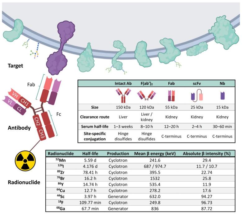 https://cdn.ncbi.nlm.nih.gov/pmc/blobs/f0bc/8750680/f2c1e4efd58b/cancers-14-00074-g004.jpg