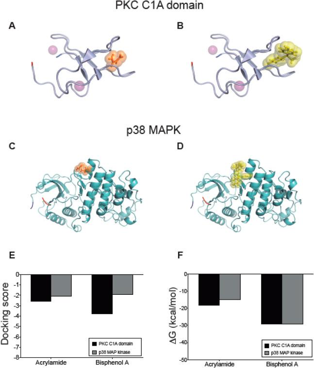 https://cdn.ncbi.nlm.nih.gov/pmc/blobs/f0be/12075958/0dba35f06edf/fphar-16-1526374-g006.jpg
