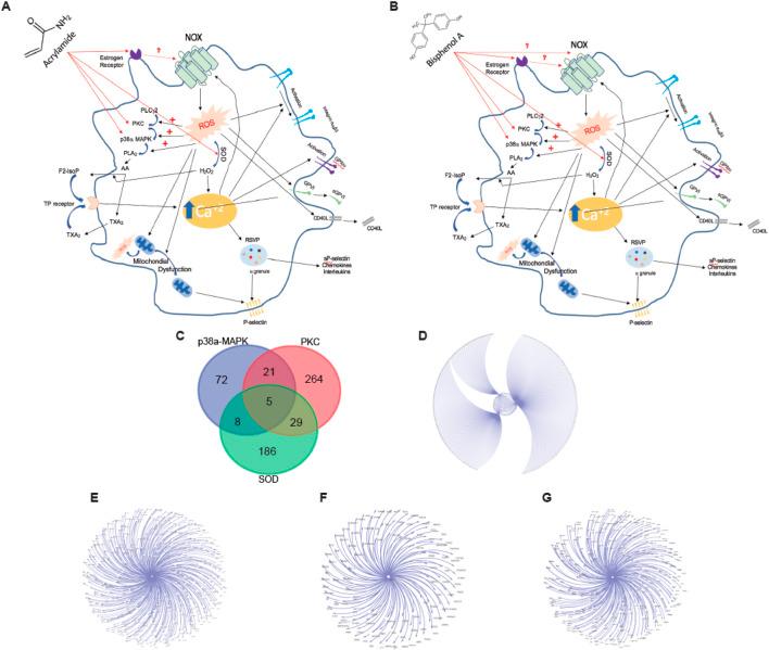 https://cdn.ncbi.nlm.nih.gov/pmc/blobs/f0be/12075958/5c537354d88a/fphar-16-1526374-g005.jpg