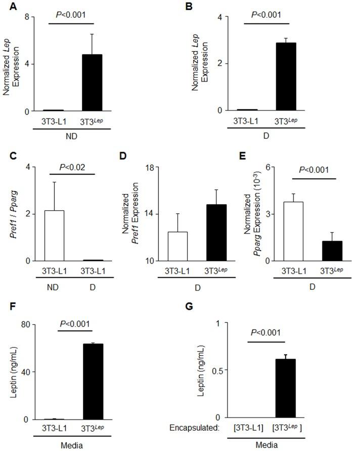 https://cdn.ncbi.nlm.nih.gov/pmc/blobs/f0be/4824514/0b363e31f764/pone.0153198.g001.jpg