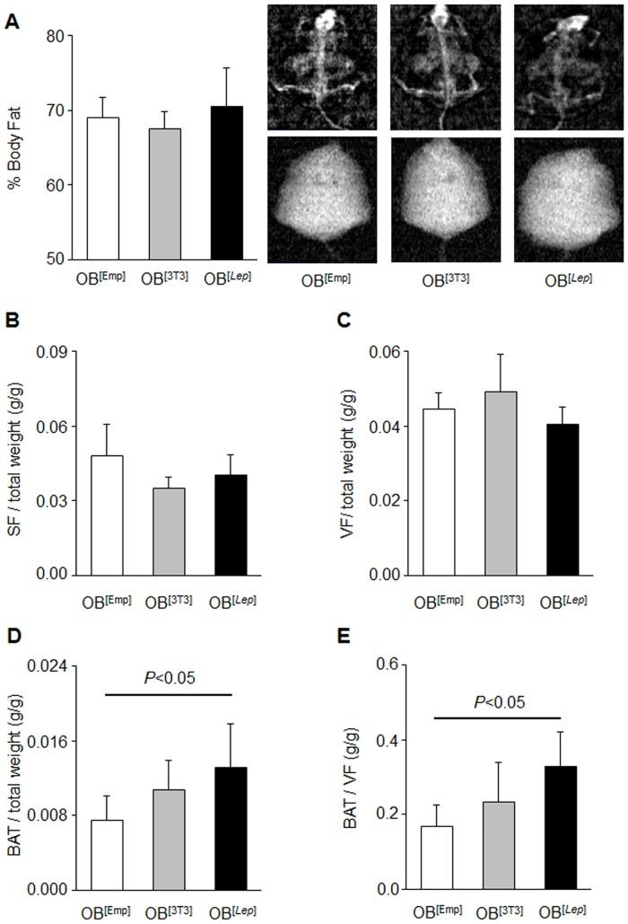 https://cdn.ncbi.nlm.nih.gov/pmc/blobs/f0be/4824514/bb0ead3fc909/pone.0153198.g003.jpg