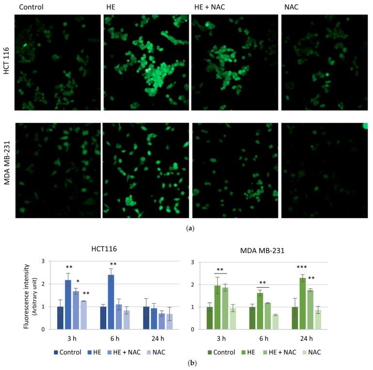 https://cdn.ncbi.nlm.nih.gov/pmc/blobs/f0c0/11430817/5323ef21cd2e/biomolecules-14-01111-g005.jpg
