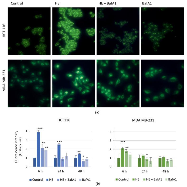 https://cdn.ncbi.nlm.nih.gov/pmc/blobs/f0c0/11430817/7280d69ab7b2/biomolecules-14-01111-g007.jpg