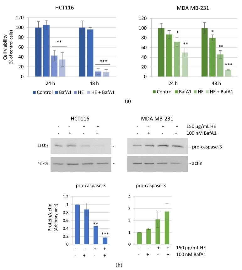 https://cdn.ncbi.nlm.nih.gov/pmc/blobs/f0c0/11430817/ddde44be5f2b/biomolecules-14-01111-g010.jpg