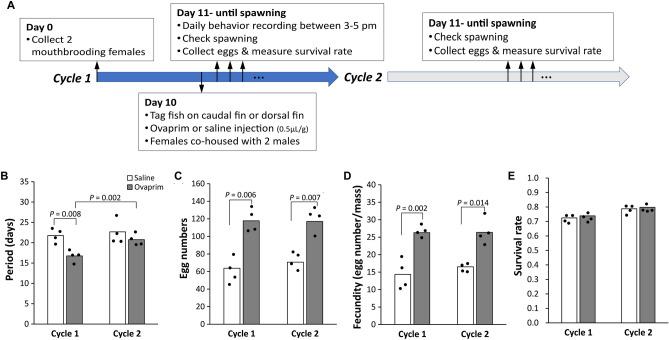 https://cdn.ncbi.nlm.nih.gov/pmc/blobs/f0c2/8302579/4aeb57ae4616/41598_2021_94577_Fig2_HTML.jpg