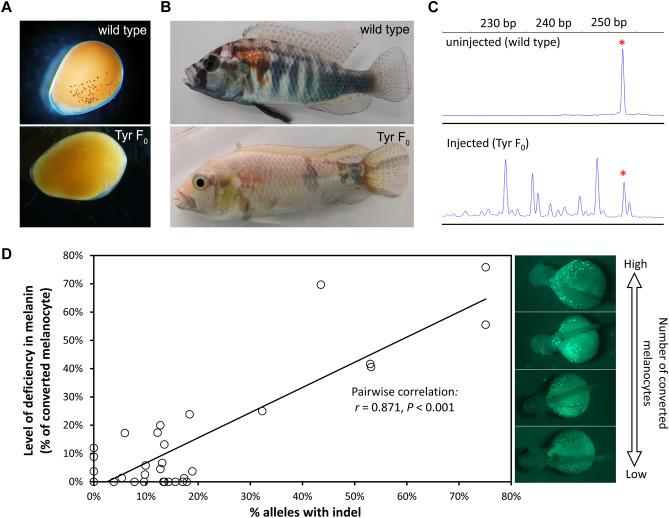 https://cdn.ncbi.nlm.nih.gov/pmc/blobs/f0c2/8302579/899235497364/41598_2021_94577_Fig4_HTML.jpg