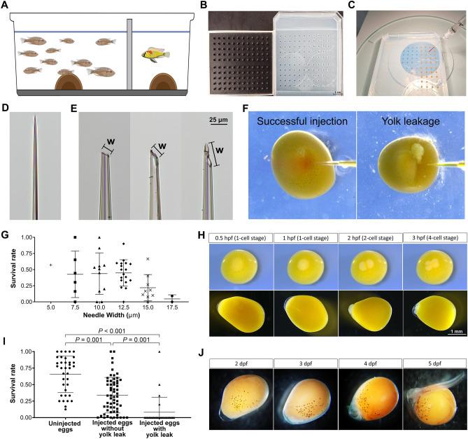 https://cdn.ncbi.nlm.nih.gov/pmc/blobs/f0c2/8302579/af0ad634e7e8/41598_2021_94577_Fig3_HTML.jpg