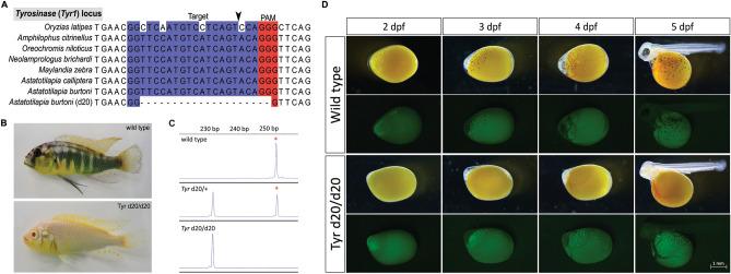 https://cdn.ncbi.nlm.nih.gov/pmc/blobs/f0c2/8302579/f4459bbba8c2/41598_2021_94577_Fig5_HTML.jpg
