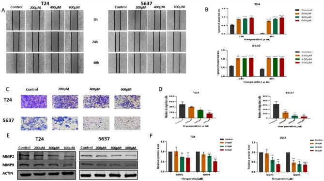 https://cdn.ncbi.nlm.nih.gov/pmc/blobs/f0c3/10781778/2b7e191b6b7a/41598_2023_50476_Fig9_HTML.jpg