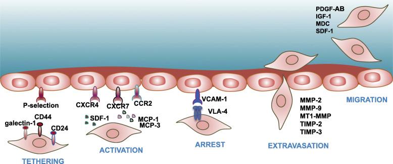 https://cdn.ncbi.nlm.nih.gov/pmc/blobs/f0c4/7414713/71fed6292f97/13287_2020_1855_Fig3_HTML.jpg