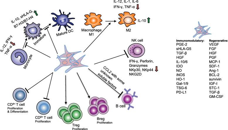 https://cdn.ncbi.nlm.nih.gov/pmc/blobs/f0c4/7414713/f5b4656ec553/13287_2020_1855_Fig2_HTML.jpg