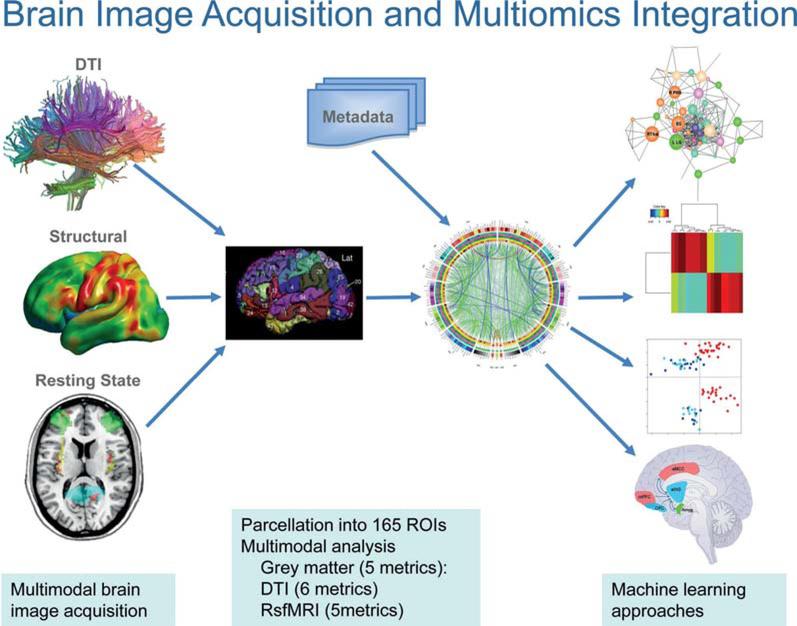 https://cdn.ncbi.nlm.nih.gov/pmc/blobs/f0c6/6999847/0e948cbd3dd1/nihms-1043705-f0005.jpg